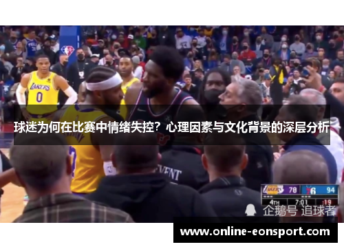 球迷为何在比赛中情绪失控？心理因素与文化背景的深层分析