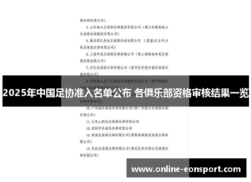 2025年中国足协准入名单公布 各俱乐部资格审核结果一览